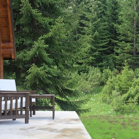 Vikendice Mali Raj Villa Žabljak Dış mekan fotoğraf